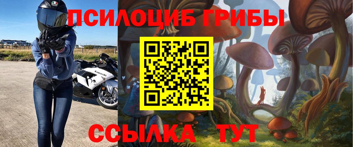 Новоалександровск  закладки  Вход с VPN  Галлюциногенные грибы Magic Shrooms 